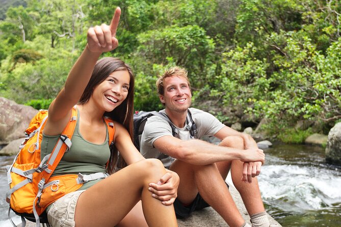 Hilo Waterfall Swim and Hike with Hilo Cruise Ship Pickup - Walking a working Hawaiian farm
