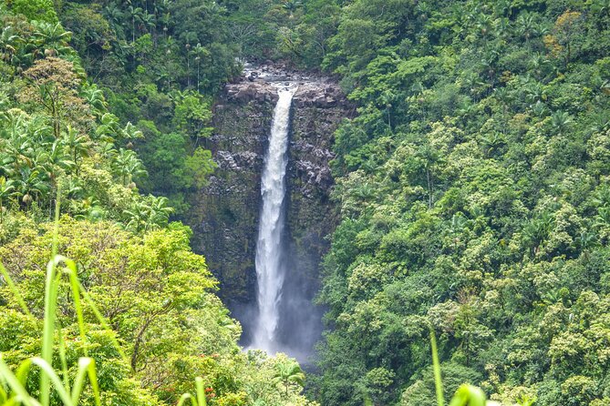 Hilo Waterfall Swim and Hike with Hilo Cruise Ship Pickup - Three private waterfalls, with Kolekole as the main event