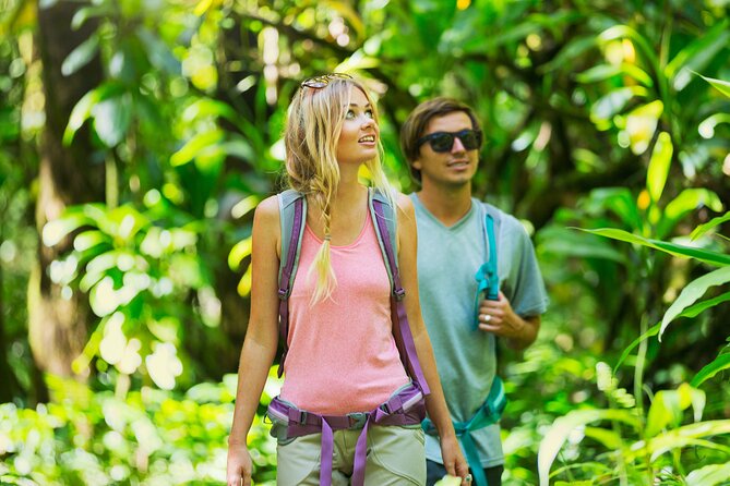Hilo Waterfall Swim and Hike with Hilo Cruise Ship Pickup - How difficult is the 3-mile walk?