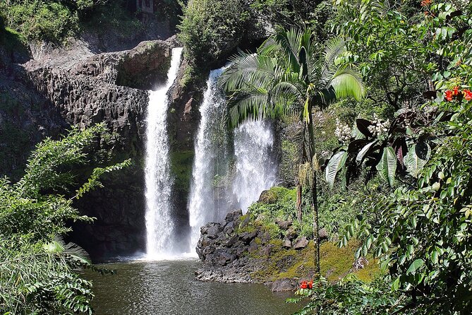 Hilo Waterfall Swim and Hike with Hilo Cruise Ship Pickup - From the Port of Hilo to the Hamakua Coast