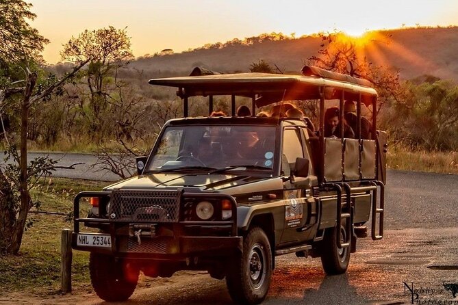 Hluhluwe Big Five Safari Richards Bay Shore Excursion - Who Should Book This Safari?
