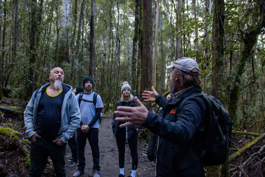 Hobart: Mt Field National Park & Wildlife Shore Excursion - Should you book the Mt Field and Bonorong day?