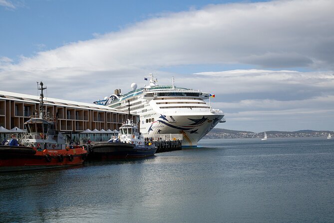 Hobart Shore Excursion: Bonorong Bus - Meeting at Victoria Dock Bridge