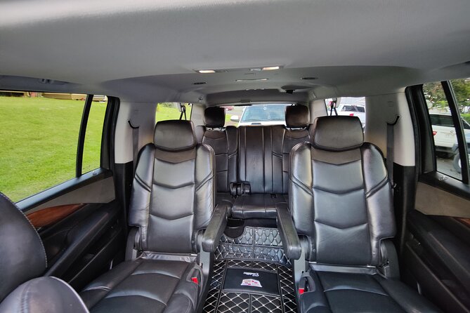 Honolulu Harbor Cruise Terminal Transfer by Luxury Vehicle - The vehicles, luggage, and ride itself