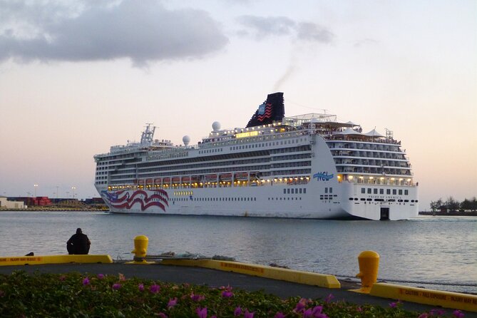 Honolulu Harbor Cruise Terminal Transfer by Luxury Vehicle - What happens when you leave Honolulu Airport