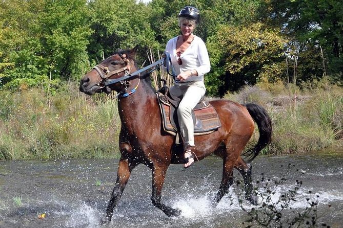 Horseback Riding From Kusadasi Port For Cruise Guests - What really happens at Pamucak Beach