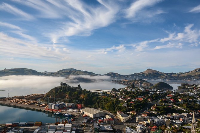 Iconic Shore Excursion: Dunedin City Highlights Tour - Key points at a glance