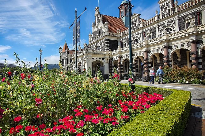 Iconic Shore Excursion: Dunedin City Highlights Tour - Signal Hill gives you the big picture