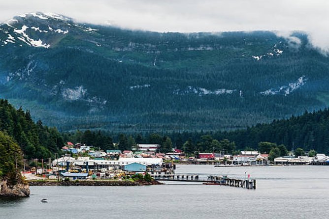 Icy Strait Shore Excursion: Whale Watching Adventure Tour - How much whale watching can you expect?