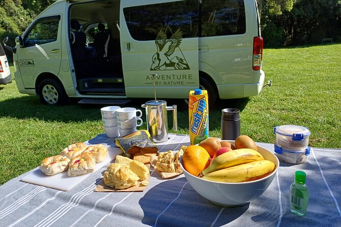 Inland Canterbury & Castle Hill Tour (Lyttelton Shore Excursion) - What the guides add to the day