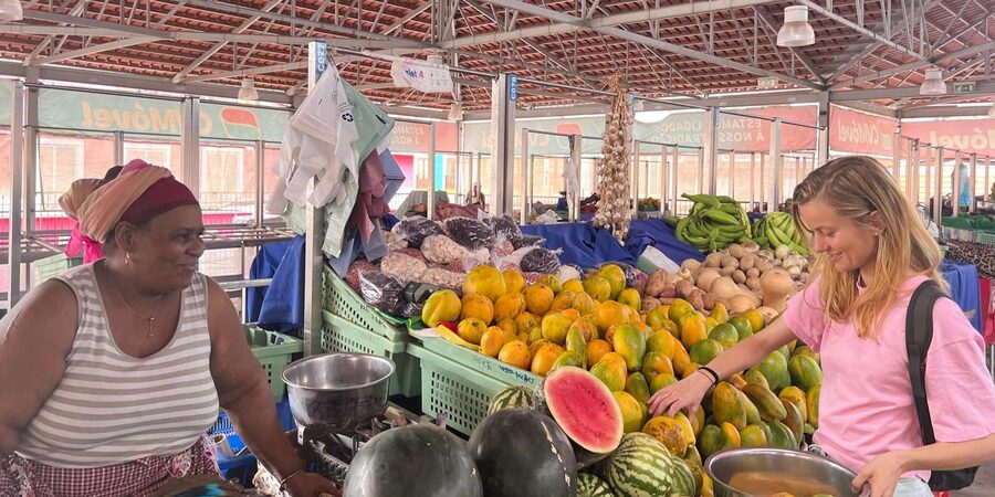 Island tour with German-speaking guide for cruise guests - Praia before returning to the port