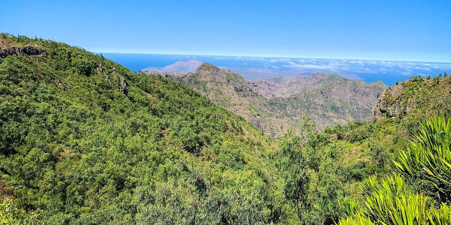 Island tour with German-speaking guide for cruise guests - Serra Malagueta Natural Park