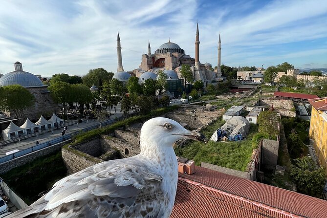 Istanbul city tour from Cruise ship terminal Galataport. - The Grand Bazaar: a quick look at Istanbul’s market culture