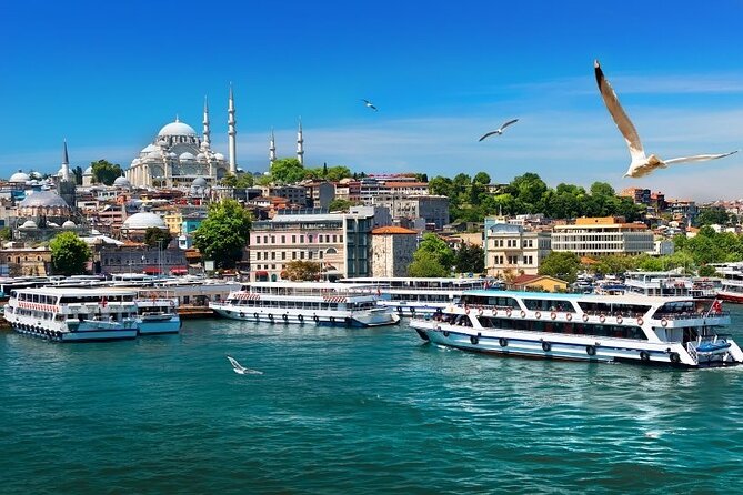 Istanbul Private Tour from Cruise Port - Dinner, wine, and the Turkish stage show