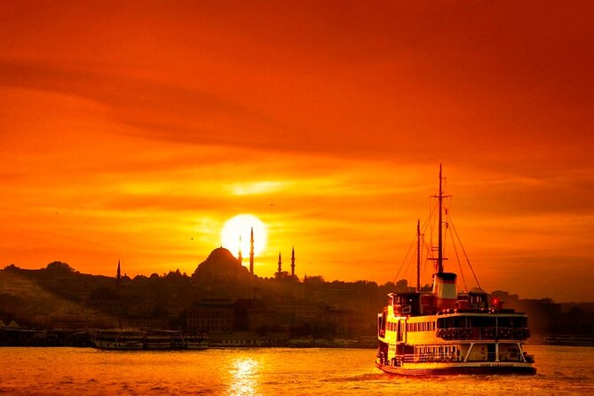 Istanbul Private Transfer from City Hotels to Cruise port - What the driver and vehicle are like
