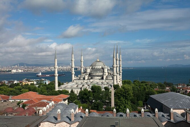 Istanbul Shore Excursion by TRAM: Half Day Private Tour from Port - Why the tram is a smart start from Galataport