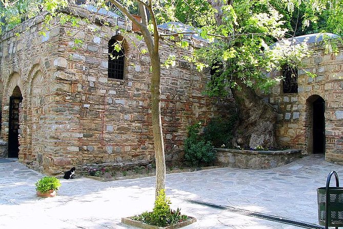 Izmir Shore Excursion: Private Tour to Ephesus and the House of Virgin Mary - What the guide adds to the day