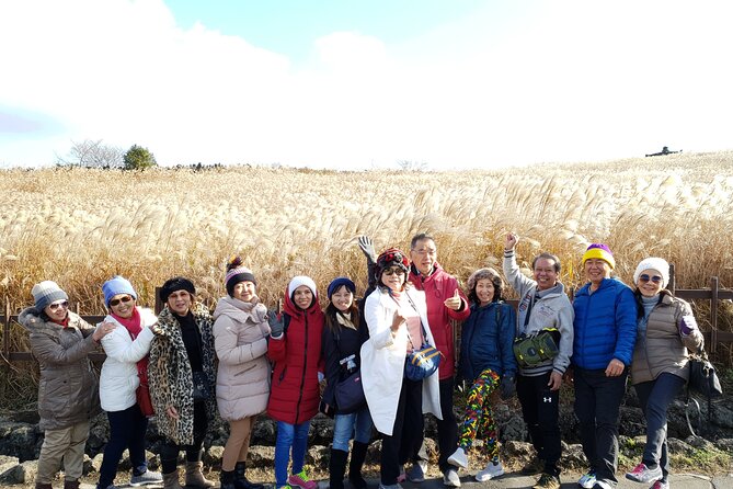 Jeju bus tour with professional English guide for cruise customer - A practical way to see Jeju from a cruise ship
