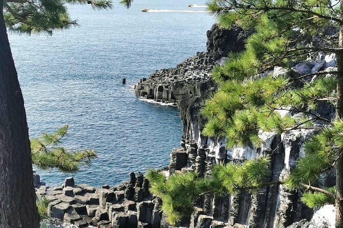 Jeju Cruise Ship gangjung Port PRIVATE tour for all group sizes - Oedolgae and the Olle trail feel