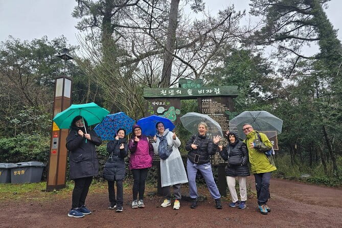 Jeju Cruise Ship gangjung Port PRIVATE tour for all group sizes - Lunch, admissions, and the real cost