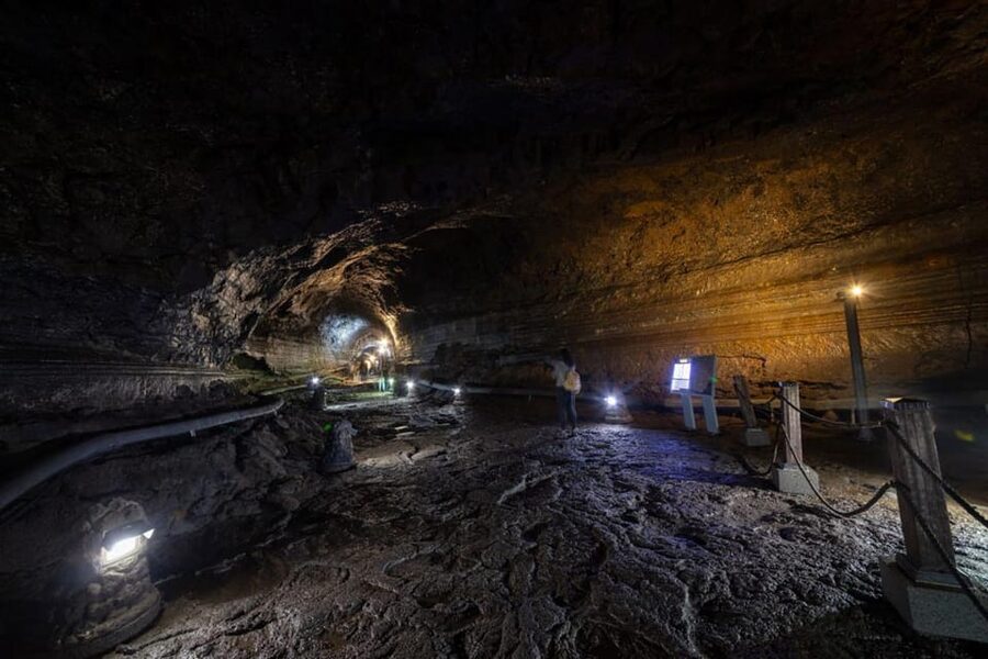 Jeju Cruise Shore Excursion Private Taxi Tour Car Charter - West Jeju: Hallim Park, caves, tea, and a waterfall
