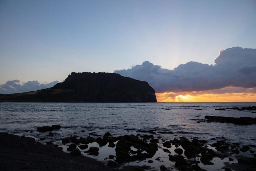 Jeju Cruise Shore Excursion Private Taxi Tour Car Charter - What the driver adds beyond transportation