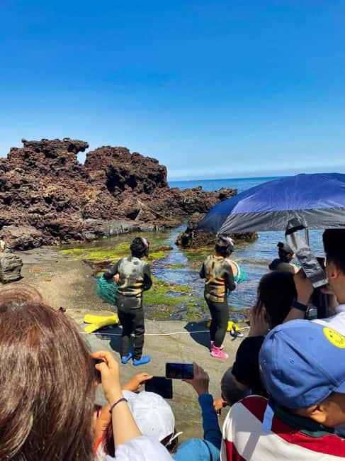 Jeju: Customized Shore Excursions For Up To 7 People - Starting from Jeju Port or Gangjeong Port