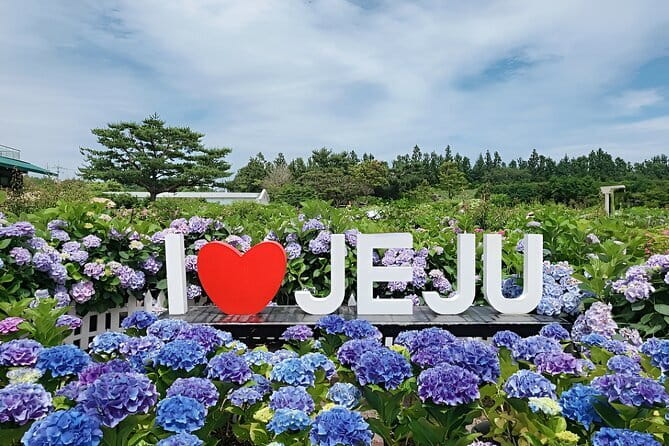 Jeju Day Tour for Cruise Guests - Timing, group size, and cruise-day pressure