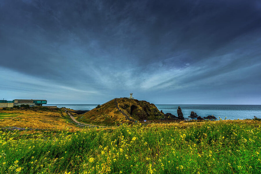 Jeju: For Cruise Guests UNESCO Highlights Jeju Island Tour - Who should book this tour?