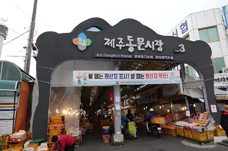 Jeju Island: Full Day Tour for Cruise Ship Passengers - Guides, vehicles, and the feel of the day