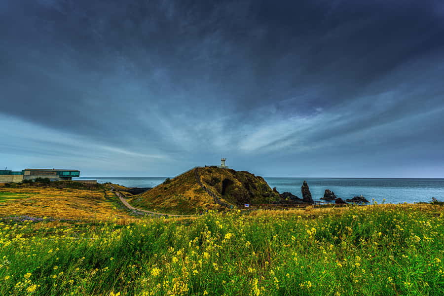 Jeju Island: Full Day Tour for Cruise Ship Passengers - Who should book this Jeju tour