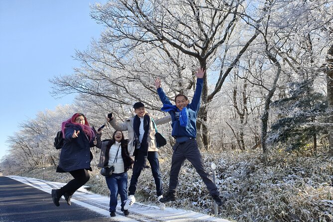 Jeju island Private UNESCO Tour - For Cruise customer - Seongsan Ilchulbong, Jeju’s volcanic centerpiece