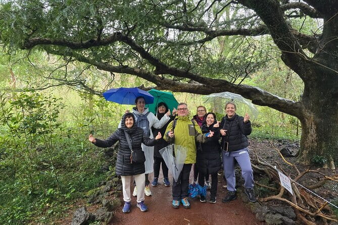 Jeju Private Half-Day Tour for Cruise Customers - A practical east Jeju plan for a short port call
