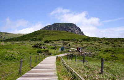 Jeju: UNESCO Day Tour for Cruise Guests