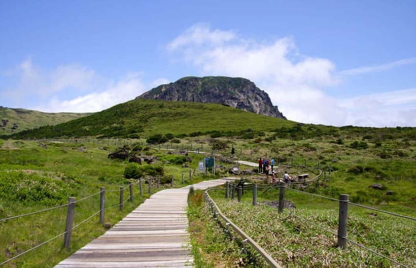 Jeju: UNESCO Day Tour for Cruise Guests - Jusangjeolli Cliff and the power of volcanic rock