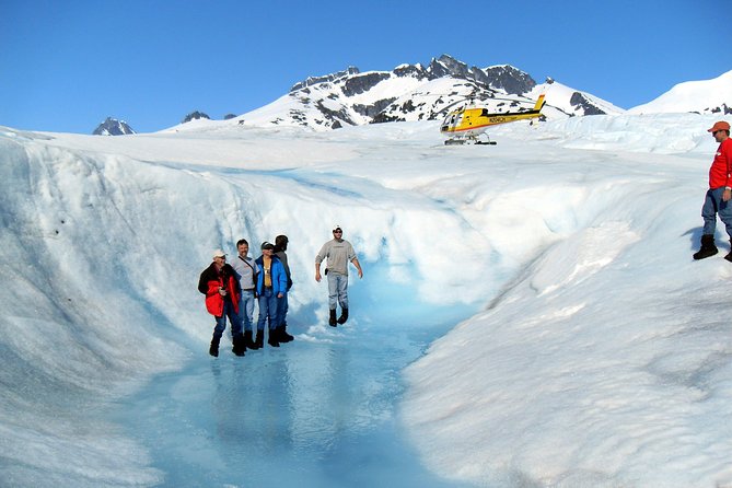 Juneau Shore Excursion: Helicopter Tour and Guided Icefield Walk - Quick points before you book