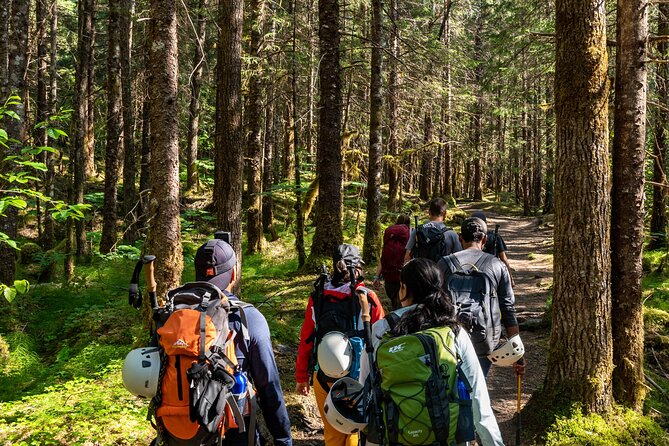 Juneau Shore Excursion: Mendenhall Glacier Guided Hike - Quick points to know before you book