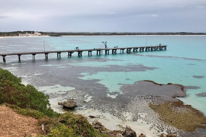 Kangaroo Island Shore Excursion Scenic Trail Tour - Looking for koalas and kangaroos