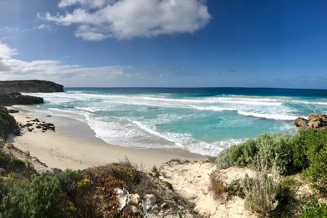 Kangaroo Island Shore Excursion Scenic Trail Tour - Lunch, comfort, and the long road