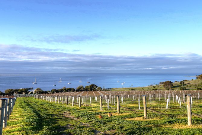 Kangaroo Island Shore Excursion Tasting Tour - For Cruise Ship Passengers Only - A Food-Focused Way to See Kangaroo Island