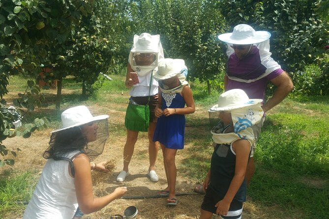 Katakolon Small Group Tour: Olympic site, Honey/Olive Oil Tasting - Klio’s Honey Farm and the human side of the tour
