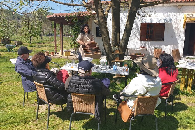 Katakolon Small Group Tour: Olympic site, Honey/Olive Oil Tasting - Reasons to think twice