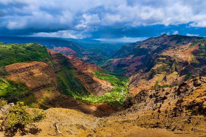 Kauai Cruise Ship Shore Excursion Journey to Waimea Canyon - What the guides add to the day
