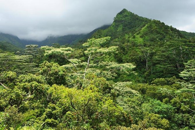 Kauai Cruise Ship Shore Excursion Journey to Waimea Canyon - Is $97 a fair price?