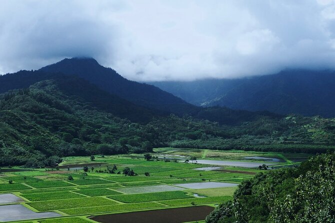 Kauai North Shore Private Guided Tour with Hotel or Port Pick-up - Opaeka’a Falls: another inland contrast