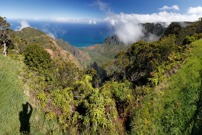 Kauai Shore Excursion - Waimea Canyon Adventure Tour - Nawiliwili - Key points to know before you book