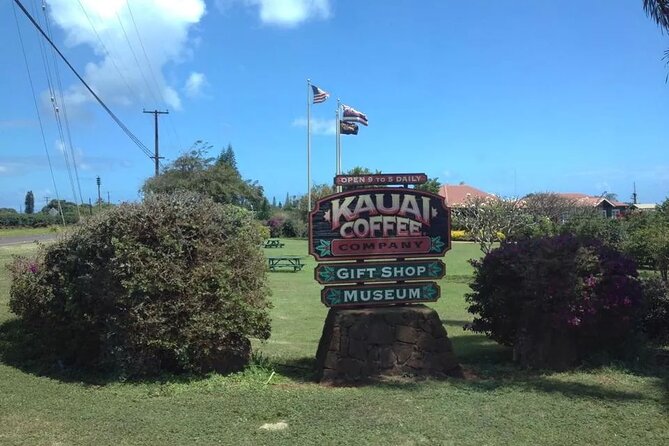 Kauai Shore Excursion - Waimea Canyon Adventure Tour - Nawiliwili - Why Waimea Canyon deserves the long ride