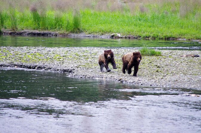 Ketchikan Shore Excursion: Eagle Island Sea Kayaking - Key points to know before booking