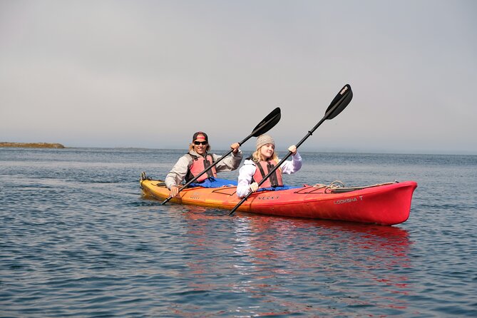 Ketchikan Shore Excursion: Eagle Island Sea Kayaking - Why Eagle Island is a good place to kayak
