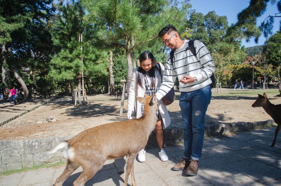 Kobe: Private Walking Shore Excursion- Kyoto/Osaka/Nara/Kobe - Kobe for the simplest shore excursion